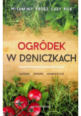 Ogródek w doniczkach