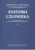 Anatomia człowieka Tom V