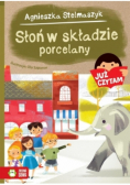 Słoń w składzie porcelany