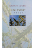 Ziarno pszenicy