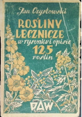 Rośliny lecznicze w rysunku