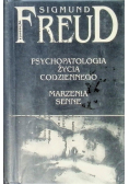 Psychopatologia życia codziennego Marzenia senne