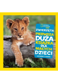 Zwierzęta pierwsza duża książka dla małych dzieci