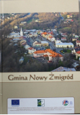 Gmina Nowy Żmigród