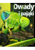 Owady i pająki