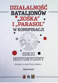 Działalność batalionów Zośka i Parasol w konspiracji