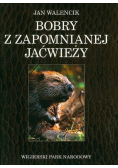 Bobry z zapomnianej Jaćwieży