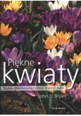 Piękne kwiaty Rośliny rozmnażane  z cebul kłączy i bulw