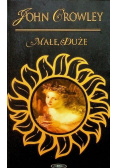 Małe duże