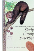 Ślady i tropy zwierząt