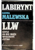 Labirynt LLW czyli co się może wydarzyć jutro