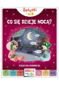 Co się dzieje nocą? Książeczka harmonijka