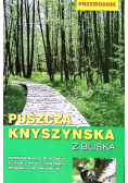 Puszcza knyszyńska z bliska
