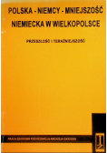 Polska Niemcy Mniejszość Niemiecka w Wielkopolsce