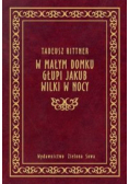 W małym domku Głupi Jakub Wilki w nocy