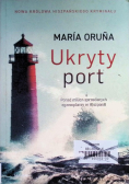 Ukryty port