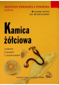 Kamica żółciowa