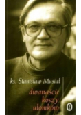 Dwanaście koszy ułomków