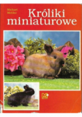 Króliki miniaturowe