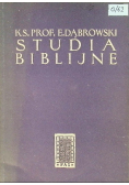 Studia Biblijne
