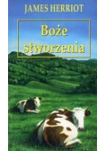 Boże stworzenia