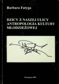 Dzicy z naszej ulicy antropologia kultury młodzieżowej