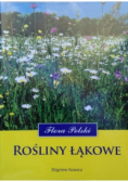 Rośliny łąkowe. Flora Polski