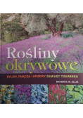 Rośliny okrywowe