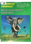 Tajemnice zwierząt Świat zwierzęcych zależności
