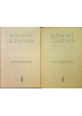 Rozmowy z Goethem