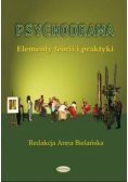 Psychodrama. Elementy teorii i praktyki