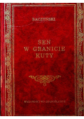 Sen w granicie kuty