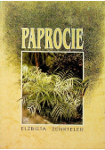 Paprocie