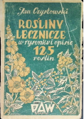Rośliny lecznicze w rysunku