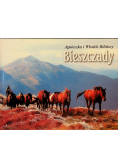 Bieszczady