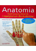Anatomia  Ilustrowany słownik i repetytorium