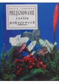 Pielęgnowanie roślin pokojowych
