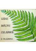 Leśne rośliny zielarskie