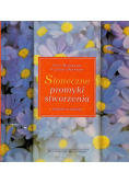 Słoneczne promyki stworzenia