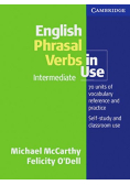 English Phrasal Verbs in Use