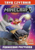 Podniebna przygoda. Minecraft