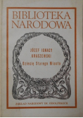 Dziecię starego miasta
