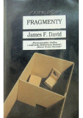David Fragmenty