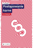 Postępowanie karne w pigułce