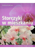 Storczyki w mieszkaniu