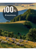 100 procent Małopolska