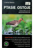 Ptasie ostoje
