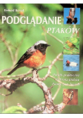 Podglądanie ptaków