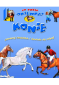 Konie: Co kryją okienka?