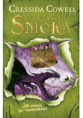 Jak wytresować smoka Tom 3 Jak mówić po smoczemu